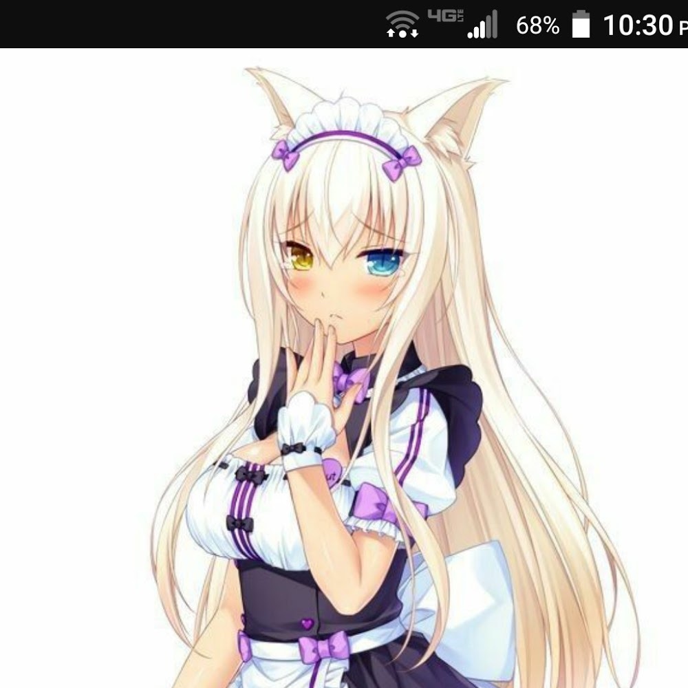 Meet your Posher, Neko